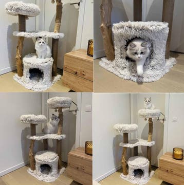 krabpaal - kattenbak - kattenbakvulling - krabpalen, Dieren en Toebehoren, Verzenden, Nieuw