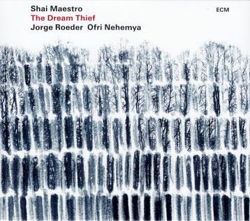 cd - Shai Maestro - The Dream Thief, Verzenden, Zo goed als nieuw