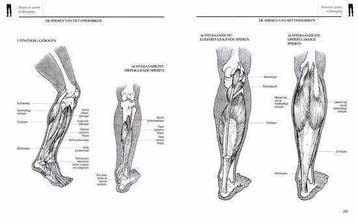 Anatomie Tekenen, Ophalen of Verzenden, Nieuw