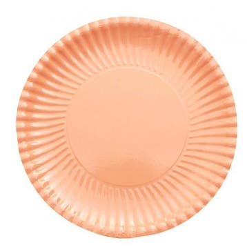10x Perzik kleurige wegwerp bordjes van karton 23 cm - Bor.., Ophalen of Verzenden, Nieuw