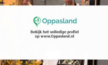 Antoine zoekt een oppas in Amersfoort voor 2 kinderen op..., Vacatures, Vacatures | Juridisch en Fiscaal