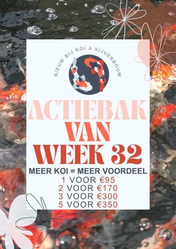 Actiebak week 32 | Japanse Nisai koi vanaf €70 p.s., Karper of Koi