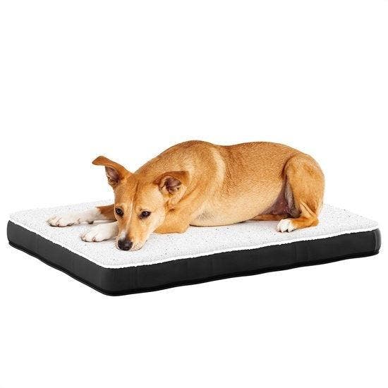 2dekans | Avalo Orthopedisch Hondenkussen L - 91x69 cm -, Dieren en Toebehoren, Honden-accessoires, Zo goed als nieuw, Ophalen of Verzenden