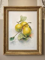 Cirezzi - Lemons III - Botanical Watercolor