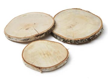 Boomstamschijf Berkenschijf rond ca. 25x25x2,3 cm, Ophalen of Verzenden, Nieuw