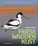Vogels Van De Friese Waddenkust | Nieuw, Boeken, Ophalen of Verzenden, Nieuw, Meinte Engelmoer; Henk Hiemstra; Meino Zondervan; Taeke Roosjen