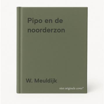Pipo en de noorderzon - W. Meuldijk 9789061572404, Verzenden, Gelezen, W. Meuldijk