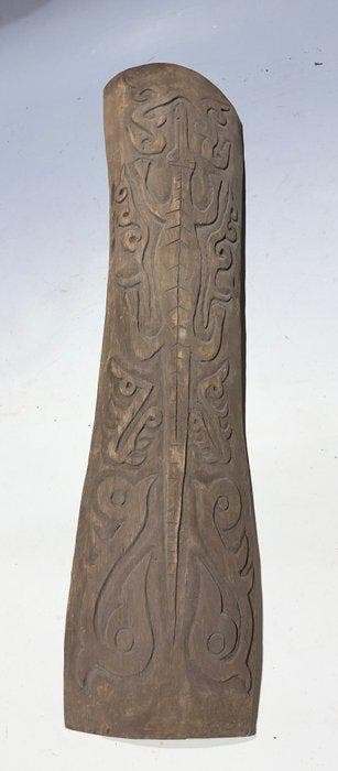 Zeldzaam houten schild Geelvinkbaai Papua - salawaku - Yapen, Antiek en Kunst