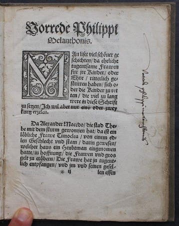 Martin Luther - Etliche Sprüch Göttlicher Schrifft die vns