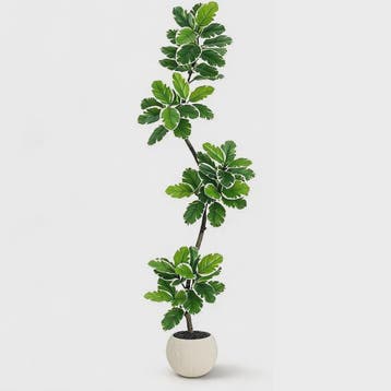 Realistische Kunstplant Ficus Lyrata (Fiddle Leaf Fig) - 180, Verzenden, Nieuw