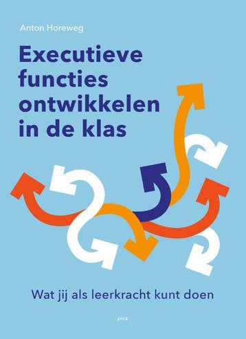 Executieve functies ontwikkelen in de klas 9789493336018, Boeken, Zo goed als nieuw