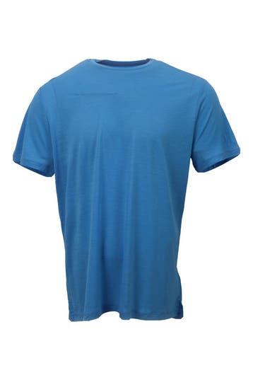 Icebreaker T-shirt in maat L Blauw, Verzenden, Gedragen, Blauw, Icebreaker
