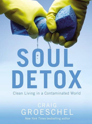 Soul Detox - Craig Groeschel 9780310333821, Verzenden, Zo goed als nieuw, Craig Groeschel