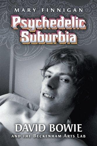 Psychedelic Suburbia - Mary Finnigan 9780986377020, Verzenden, Gelezen, Mary Finnigan