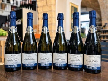 Fontanafredda Alta Langa Limited Edition - Piëmont - 6, Nieuw