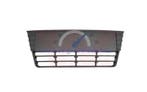 Ford Focus 2011-2014 Grill Onder Luchtrooster, Auto-onderdelen, Carrosserie en Plaatwerk, Ophalen of Verzenden, Nieuw, Ford USA