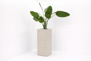 Akoestische plantenbak - 104x42x42cm (hxbxd) - wolvilt -, Werkplek, Ophalen of Verzenden, Nieuw in verpakking, Overige typen
