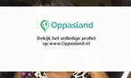 Ik ben Ebere, 25 jaar oud en ik zoek oppaswerk in Nijeveen.