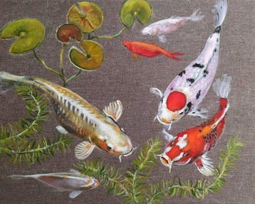 Valeria Pesce - KOI STORIES 2