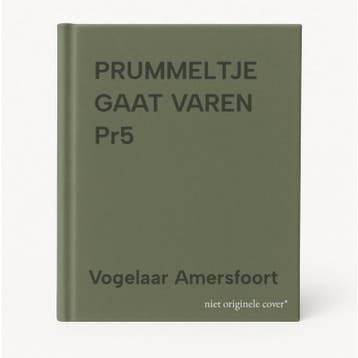 PRUMMELTJE GAAT VAREN   Pr5 - Vogelaar Amersfoort, Verzenden, Gelezen, Vogelaar Amersfoort