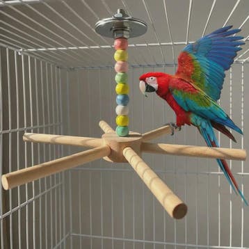 Grote Houten Vogelzitstok met Kleurrijke Kralen en Windmolen, Dieren en Toebehoren