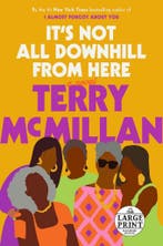 Its Not All Downhill from Here Random House Large Print, Verzenden, Gelezen, Terry McMillan
