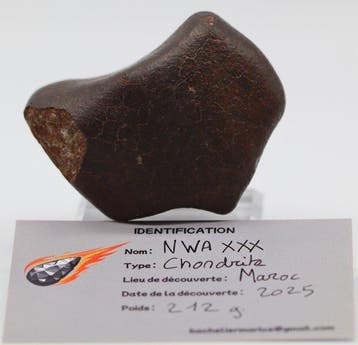 Chondriet Chondrite meteoriet - 212 g - (1)
