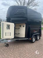 Prachtige Anssems 2 paards! 2019!, Ophalen, Zo goed als nieuw