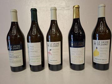 2020 Ris., 2021 Chardonnay, 20222 Ribolla, 2022 Sauvignon &, Nieuw