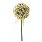 Kunstbloem Sierui / Allium wit 70 cm - Overige kunstbloemen, Verzenden