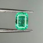Groen Smaragd - 1.49 ct - International Gemological, Nieuw