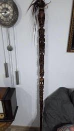 Wandelstok - Cassia javanica