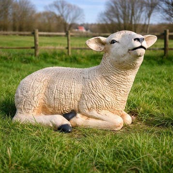 Beeld, life size and a lifelike (Texel lamb) - 32 cm -