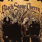 cd - Black Stone Cherry - Black Stone Cherry, Verzenden, Zo goed als nieuw