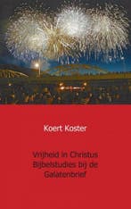 Vrijheid in Christus Bijbelstudies bij de Galatenbrief, Verzenden, Zo goed als nieuw, Koert Koster