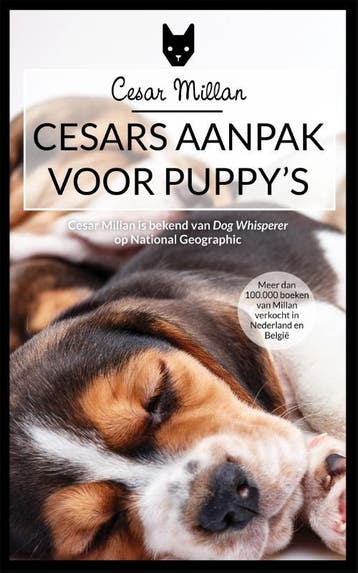 Cesars aanpak voor puppys - Cesar Millan 9789048831159, Verzenden, Gelezen, Cesar Millan