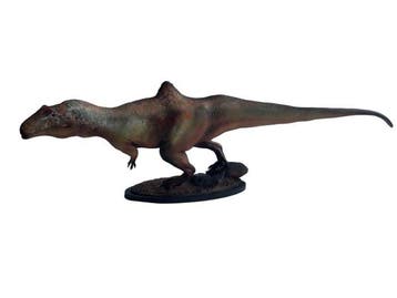 Dinosaurus Volledig skelet met schedel - Concavenator