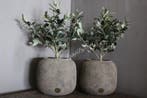 Brynxz planter basic Rustic 23 x 20 cm, Ophalen of Verzenden, Nieuw
