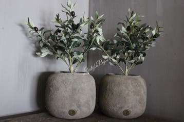 Brynxz planter basic Rustic 23 x 20 cm, Huis en Inrichting, Woonaccessoires | Vazen, Ophalen of Verzenden, Nieuw