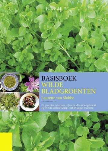 Basisboek Wilde Bladgroenten - Laurette van Slobbe, Verzenden, Zo goed als nieuw, Laurette van Slobbe