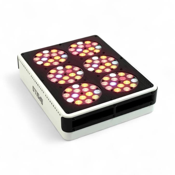 Apollo 6 LED Kweeklamp, Tuin en Terras, Kweekspullen, Nieuw, Ophalen of Verzenden