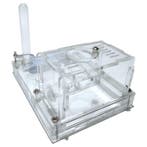 Mier Mieren Mierenboerderij Mierenhuis Ant Ants, Verzamelen, Verzenden, Nieuw