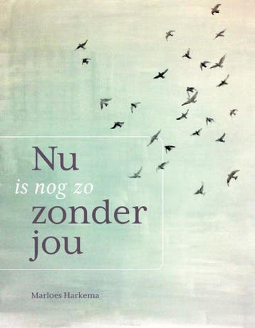 Nu is nog zo zonder jou - Marloes Harkema 9789491687556, Verzenden, Gelezen, Marloes Harkema