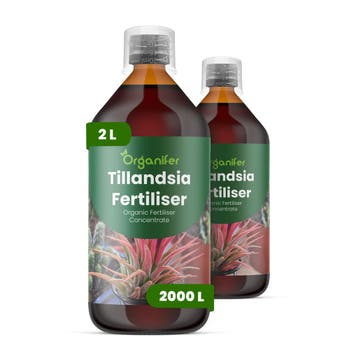 Tillandsia Vloeibare meststof - Set 2x1 liter, Verzenden, Mest