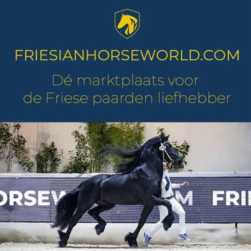 Friesianhorseworld.com - Marktplaats voor Friese paarden, Dieren en Toebehoren, Paarden