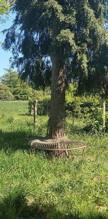 Tuinbank - halfronde boombank in antiek groene kleur -