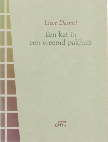 Kat in een vreemd pakhuis - Desmet 9789050711265, Verzenden, Gelezen, Desmet