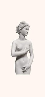 marmo bianco - Beeld, Venete dei medici - 25 cm - Marmer, Antiek en Kunst