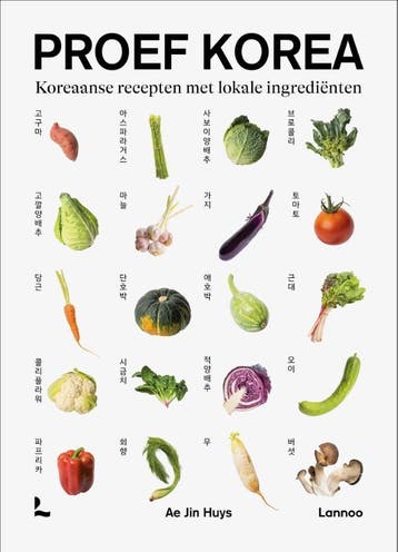 Proef Korea | Ae Jin Huys | Nieuw, Boeken, Ophalen of Verzenden, Nieuw, Ae Jin Huys