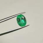 Zonder minimumprijs - 1 pcs Groen Smaragd - 1.68 ct -, Nieuw